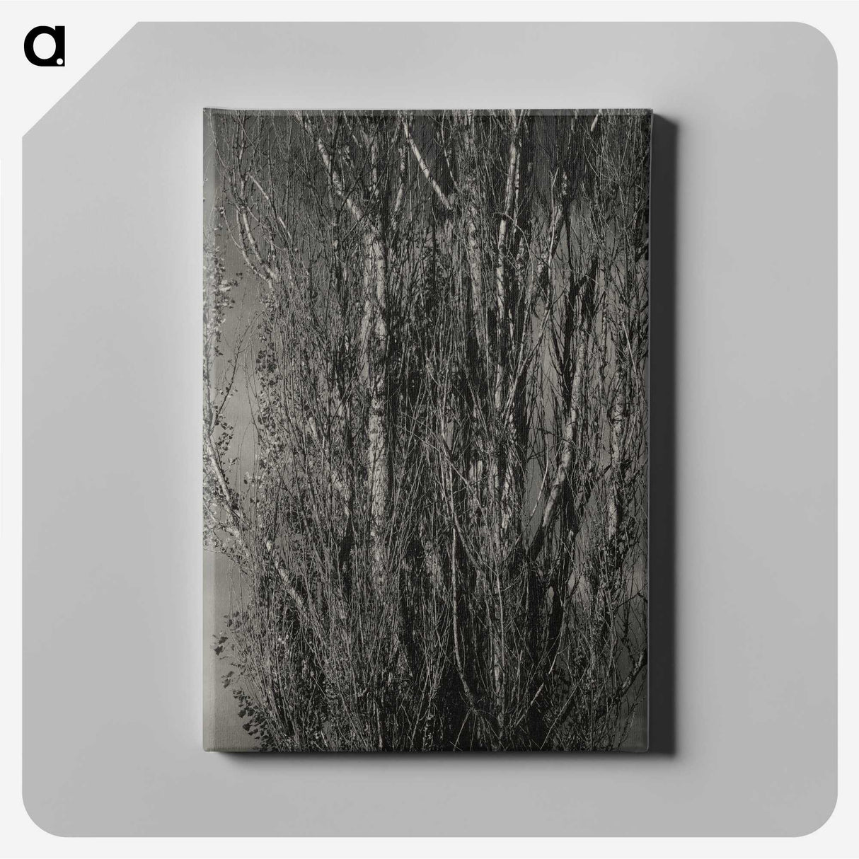 1-76_Alfred-Stieglitz_canvas