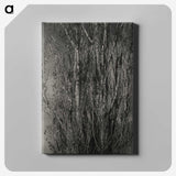 1-76_Alfred-Stieglitz_canvas