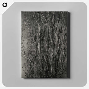 1-76_Alfred-Stieglitz_canvas