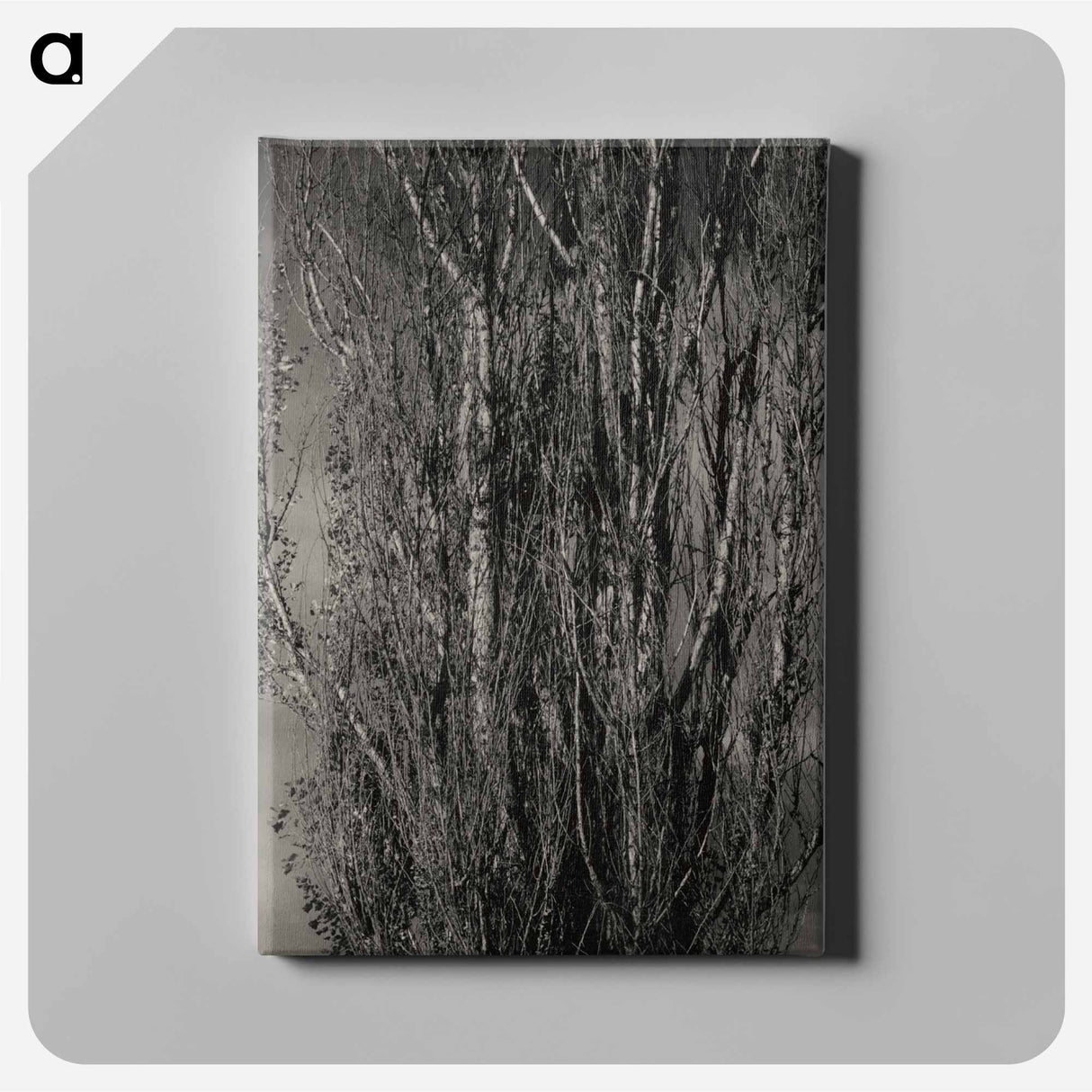 Dying Poplar and Live Branch - Lake George - アルフレッド スティーグリッツ Canvas.