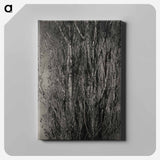Dying Poplar and Live Branch - Lake George - アルフレッド スティーグリッツ Canvas.