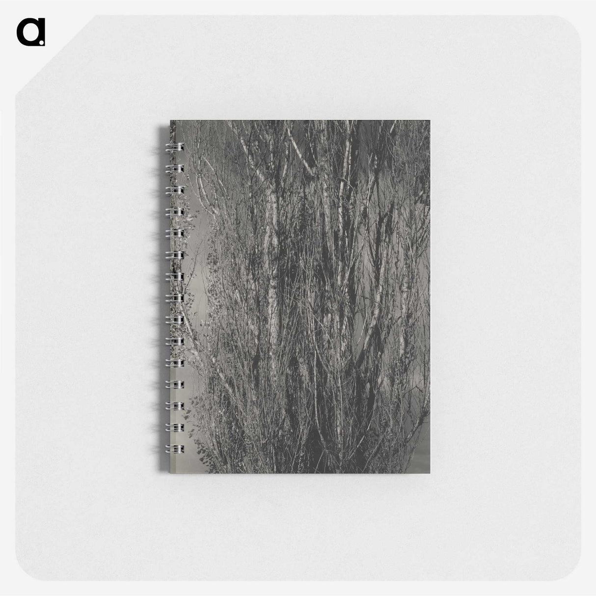1-76_Alfred-Stieglitz_memo