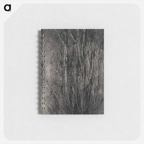 アートメモ帳-Dying Poplar and Live Branch - Lake George - アルフレッド スティーグリッツ Memo.