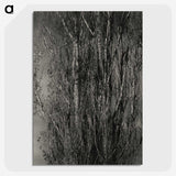 1-76_Alfred-Stieglitz_picture-crop