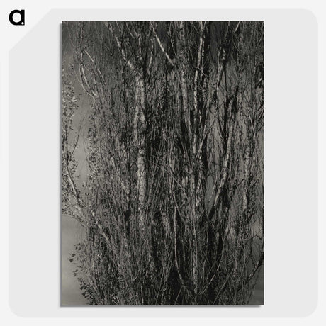 1-76_Alfred-Stieglitz_picture-crop