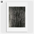 1-76_Alfred-Stieglitz_picture