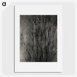 1-76_Alfred-Stieglitz_picture