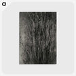 1-76_Alfred-Stieglitz_postcard