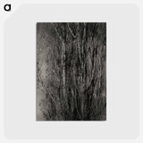 アートポストカード-Dying Poplar and Live Branch - Lake George - アルフレッド スティーグリッツ Postcard.