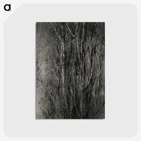 1-76_Alfred-Stieglitz_postcard