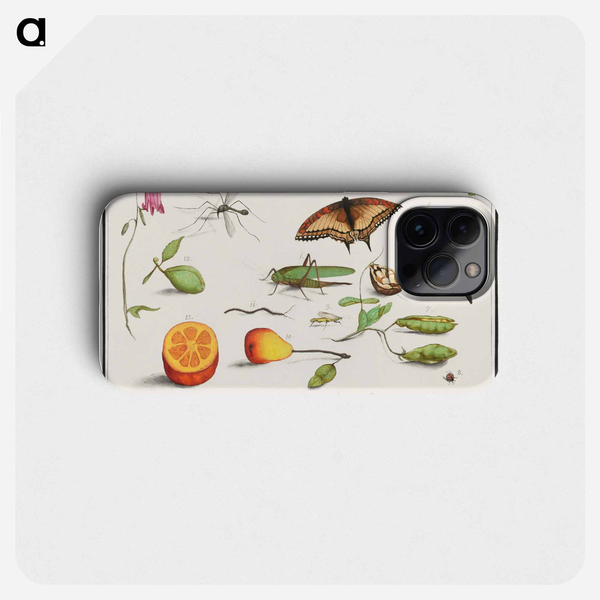 Natural History Ensemble, no. 10 - アンセルムス ボエティウス デ ブート Phone Case.