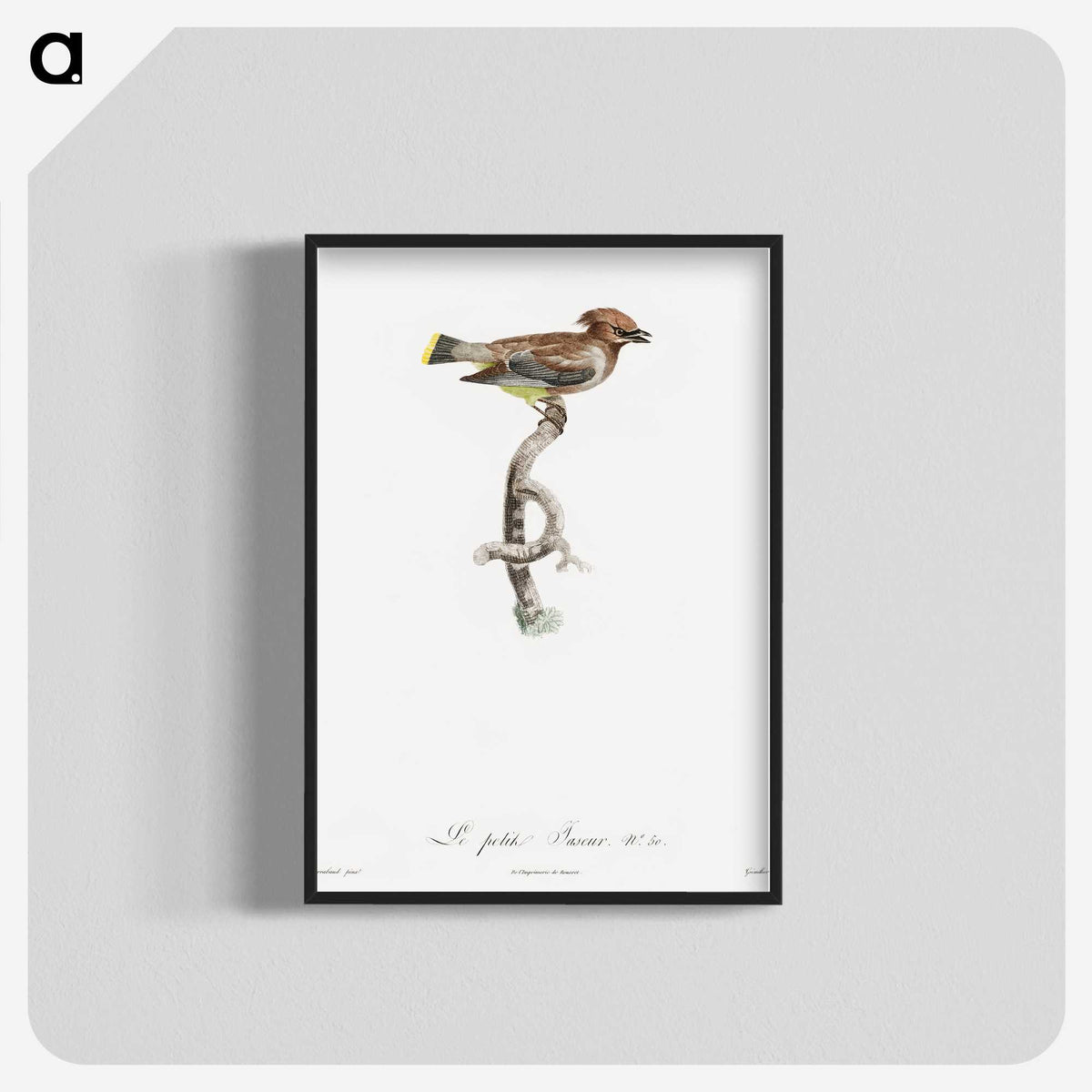 1-76_Des-Oiseaux-de-Paradis_blk-crop