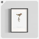 1-76_Des-Oiseaux-de-Paradis_blk