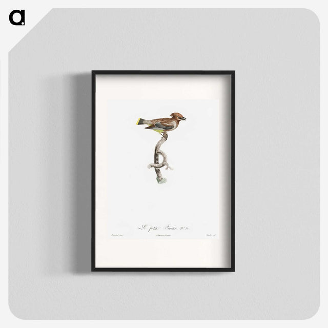 1-76_Des-Oiseaux-de-Paradis_blk