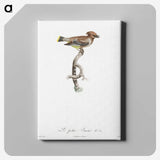 1-76_Des-Oiseaux-de-Paradis_canvas