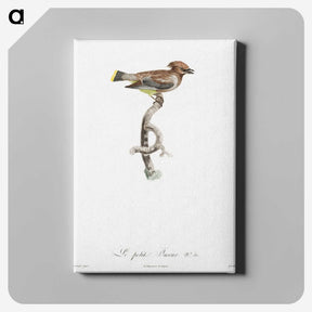 1-76_Des-Oiseaux-de-Paradis_canvas