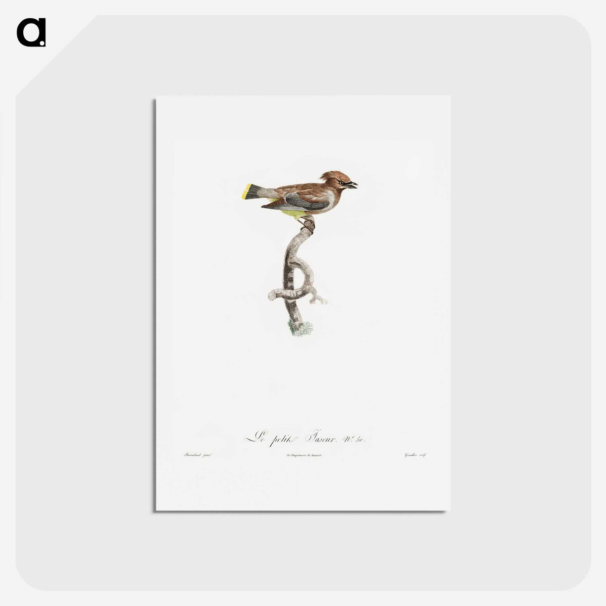 1-76_Des-Oiseaux-de-Paradis_hagaki