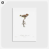 1-76_Des-Oiseaux-de-Paradis_hagaki