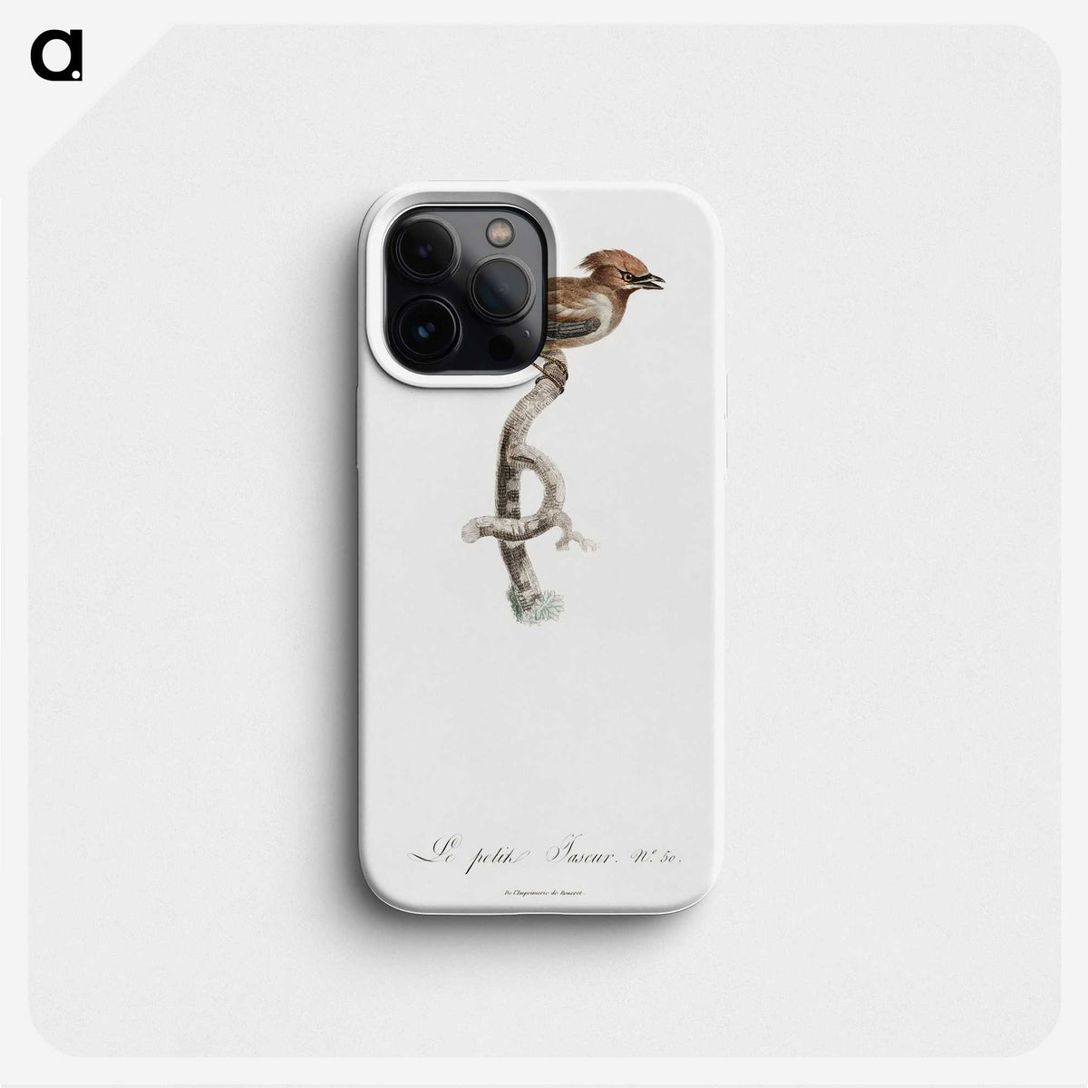 1-76_Des-Oiseaux-de-Paradis_phone