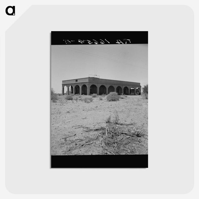 1-76_Dorothea-Lange_postcard