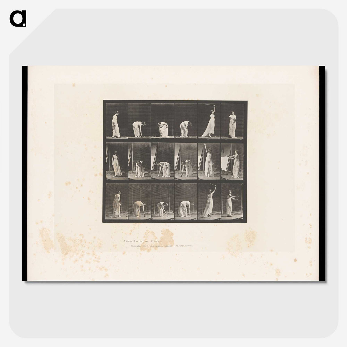 1-76_Eadweard-Muybridge_picture-crop