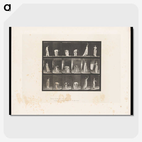 1-76_Eadweard-Muybridge_picture-crop