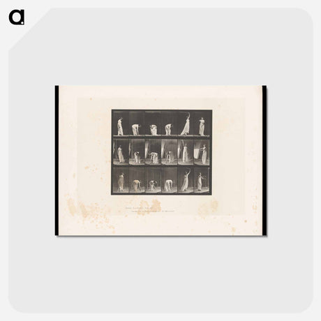 アートポストカード-Woman with Rod
 - エドワード マイブリッジ Postcard.