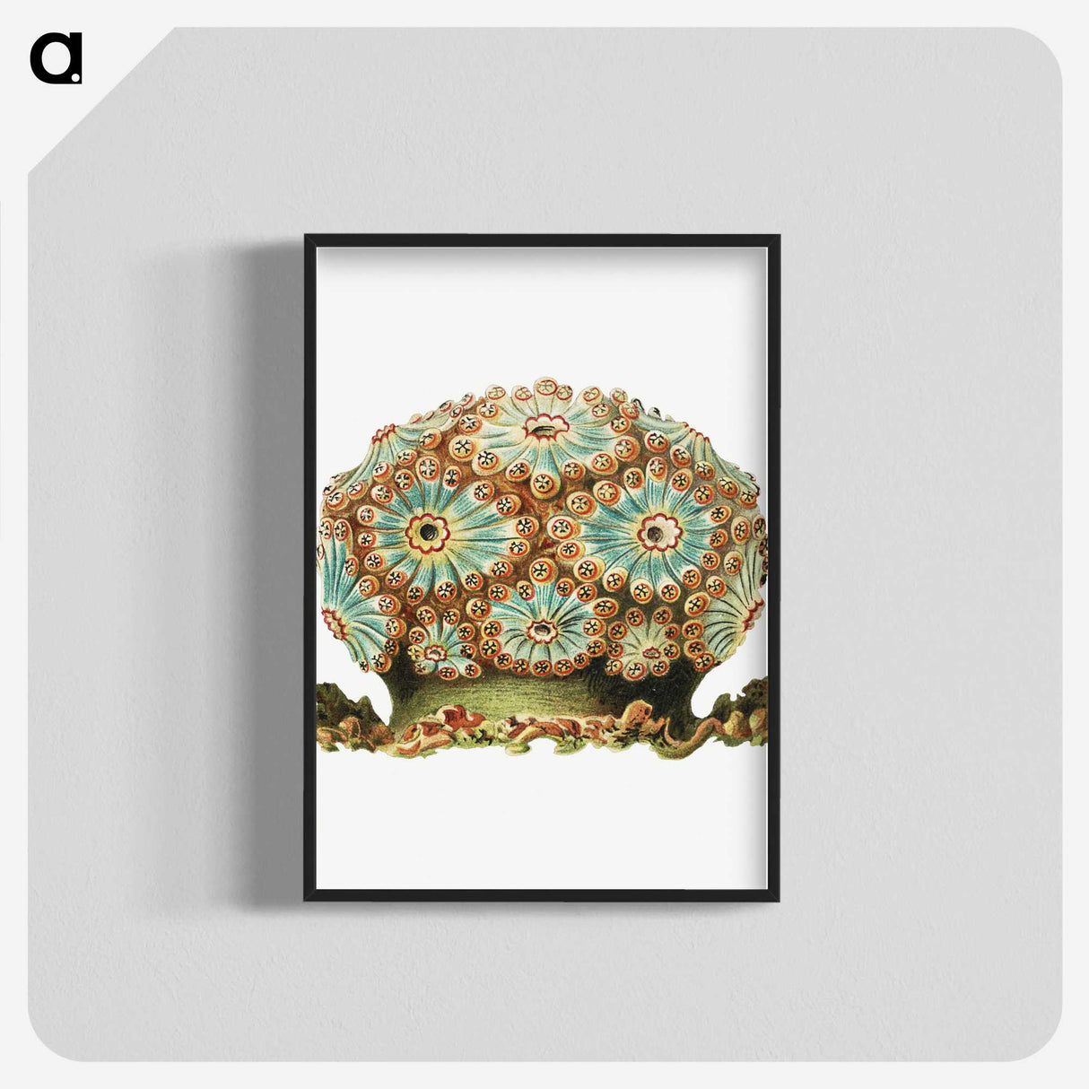 1-76_Ernst-Haeckel_blk-crop