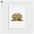 アートポストカード-Colorful vintage tunicate illustration - エルンスト ヘッケル Postcard.