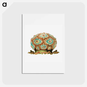 アートポストカード-Colorful vintage tunicate illustration - エルンスト ヘッケル Postcard.