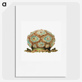 1-76_Ernst-Haeckel_picture