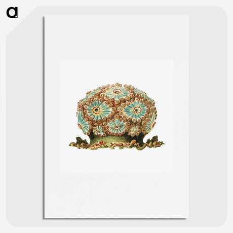 1-76_Ernst-Haeckel_picture