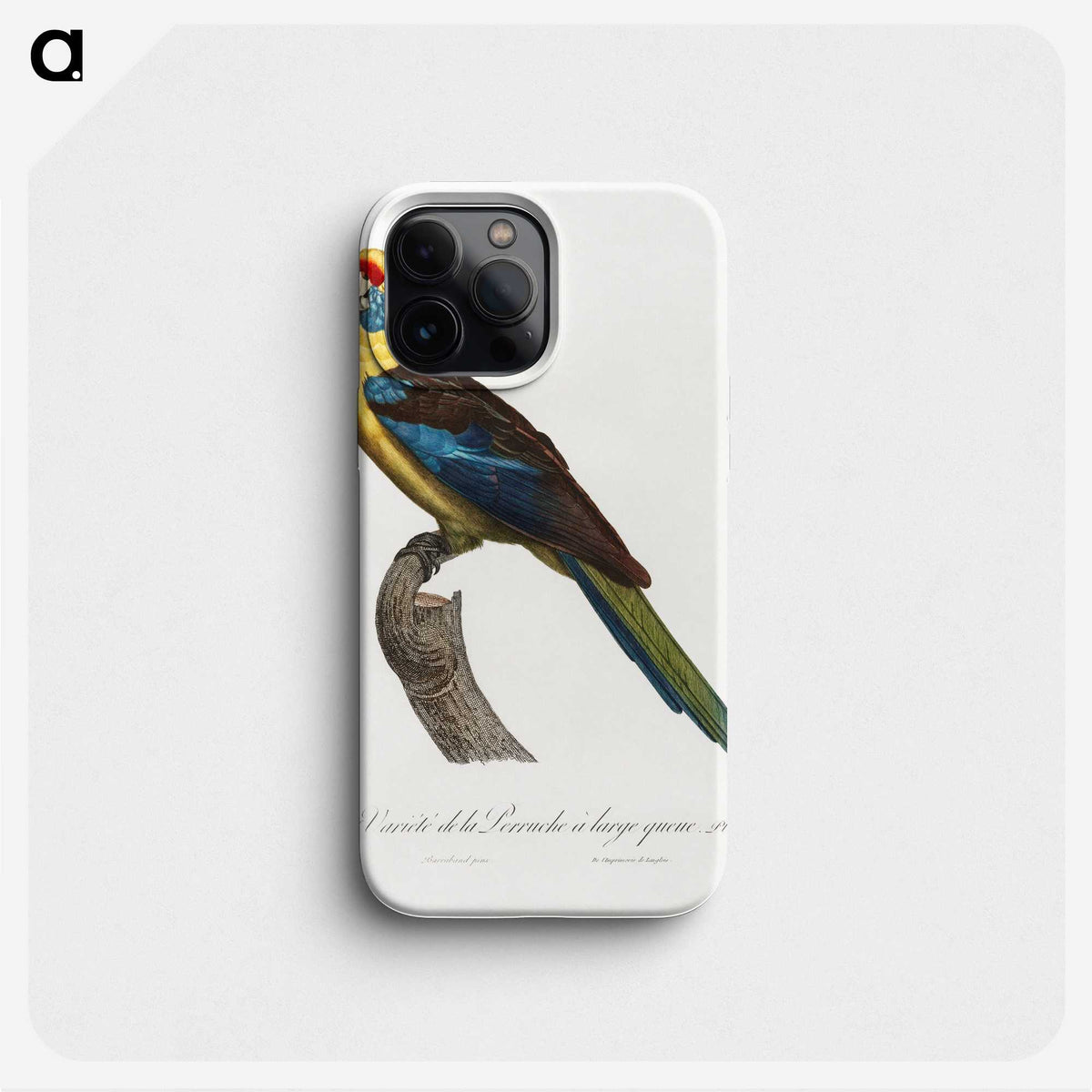1-76_Francois-Levaillant_phone
