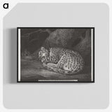 1-76_George-Stubbs_blk-crop