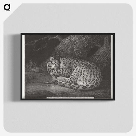 1-76_George-Stubbs_blk-crop