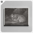 1-76_George-Stubbs_canvas