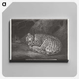 1-76_George-Stubbs_canvas