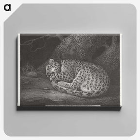 1-76_George-Stubbs_canvas