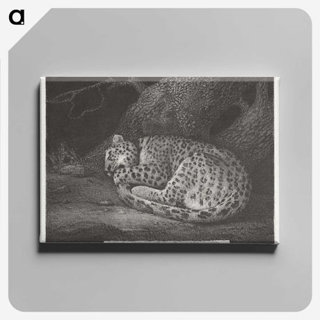 1-76_George-Stubbs_canvas