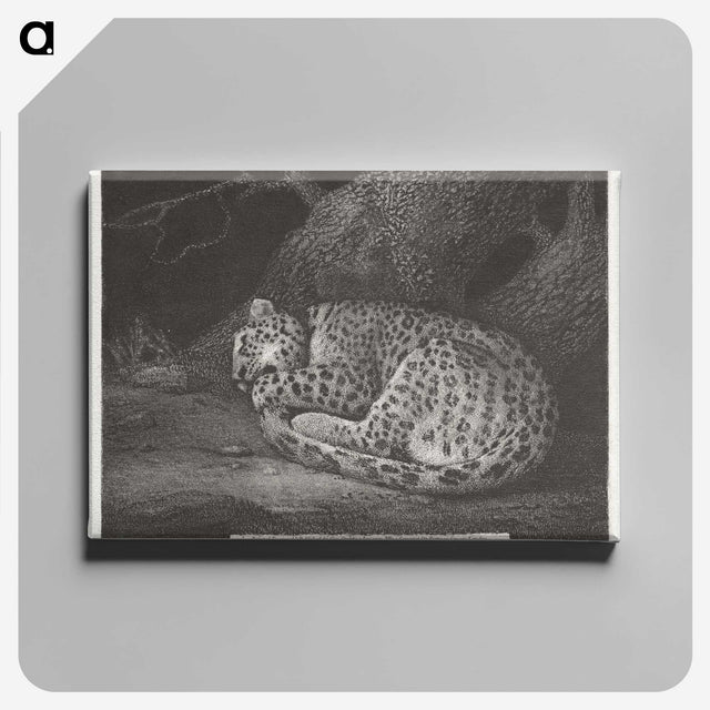 1-76_George-Stubbs_canvas