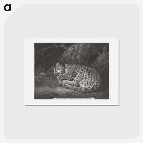 1-76_George-Stubbs_hagaki
