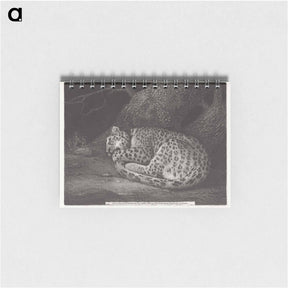 アートメモ帳-Sleeping Leopard
 - ジョージ スタッブス Memo.