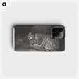 1-76_George-Stubbs_phone