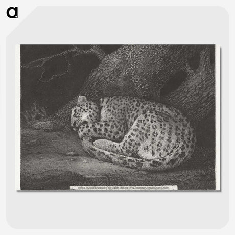 1-76_George-Stubbs_picture-crop