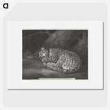 1-76_George-Stubbs_picture