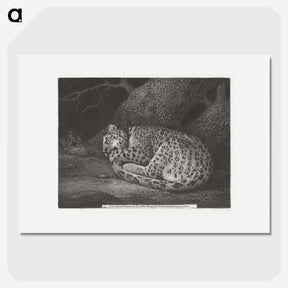 1-76_George-Stubbs_picture