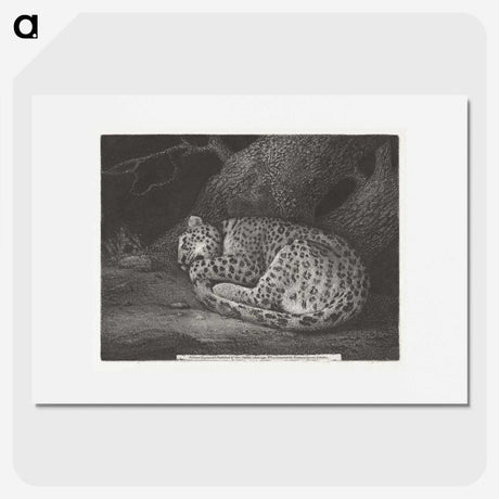 1-76_George-Stubbs_picture