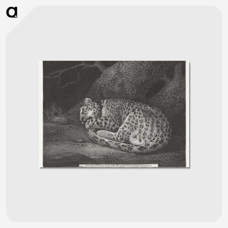1-76_George-Stubbs_postcard