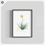 1-76_Histoire-des-Plantes-Grasses_blk