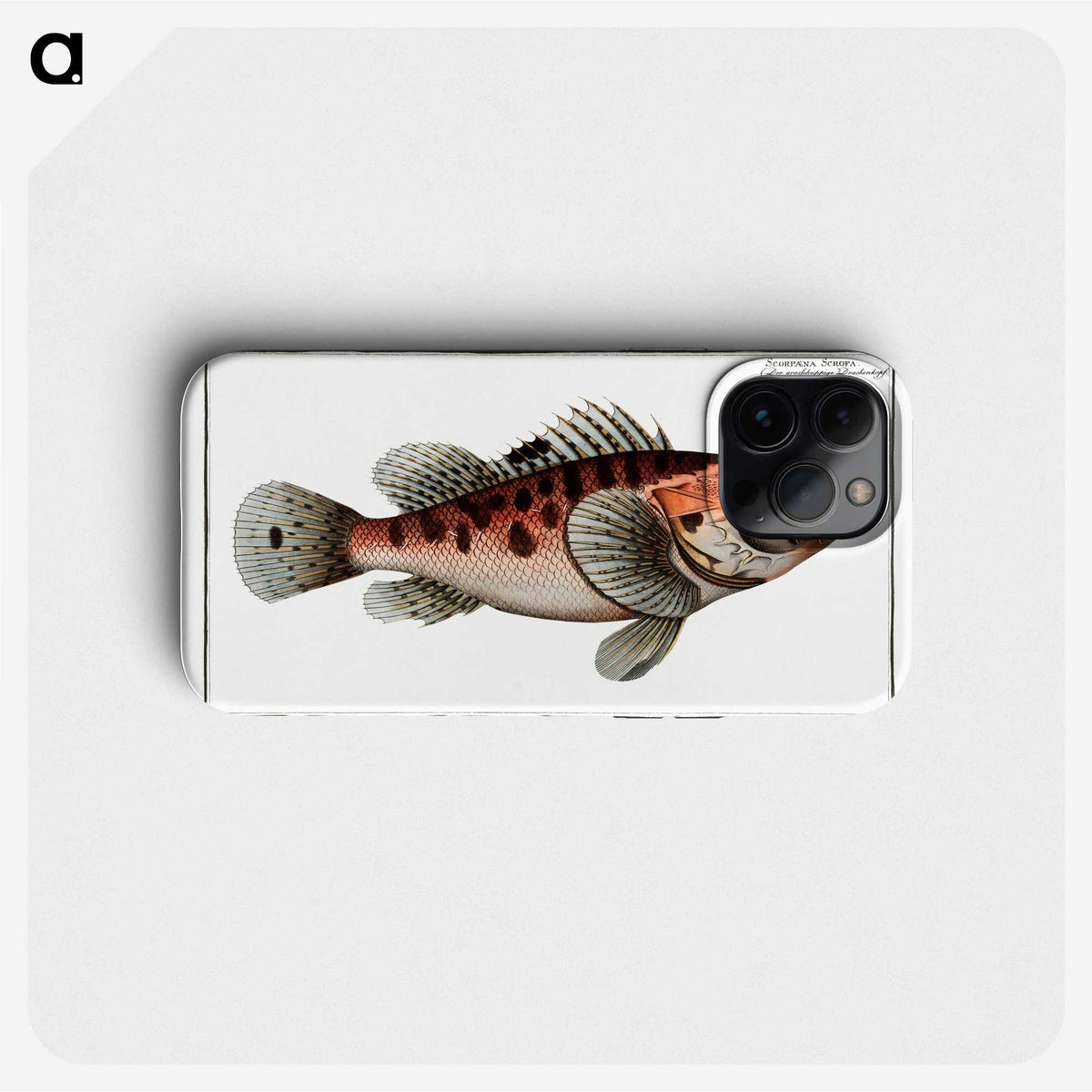 1-76_Ichtyologie-ou-Histoire-naturelle_phone